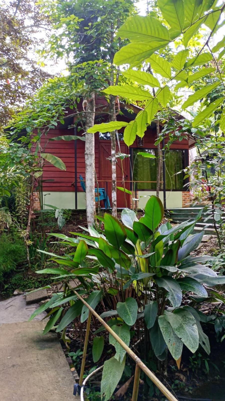 Guapote Lodge La Tigra  Exterior photo