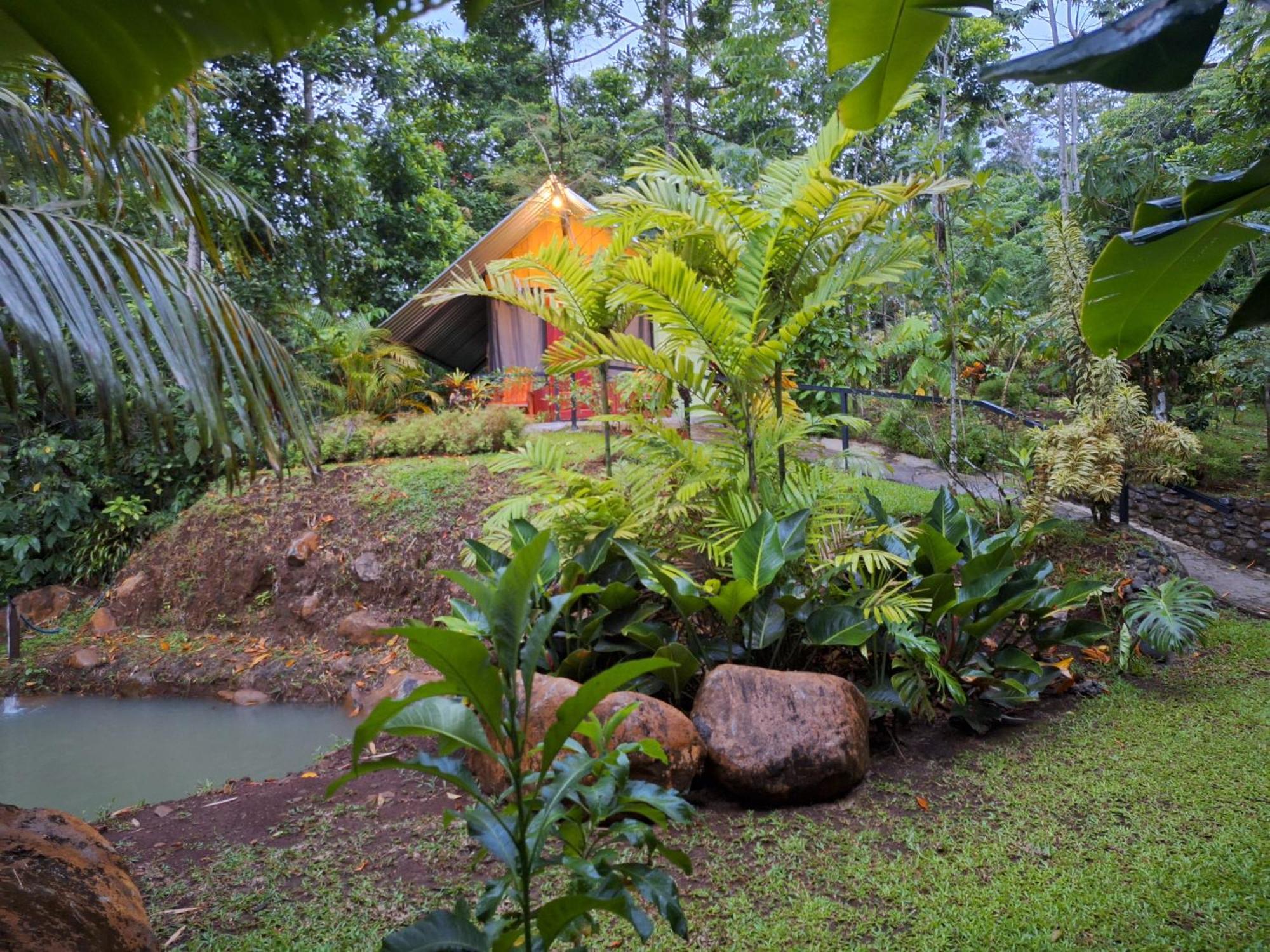 Guapote Lodge La Tigra  Room photo