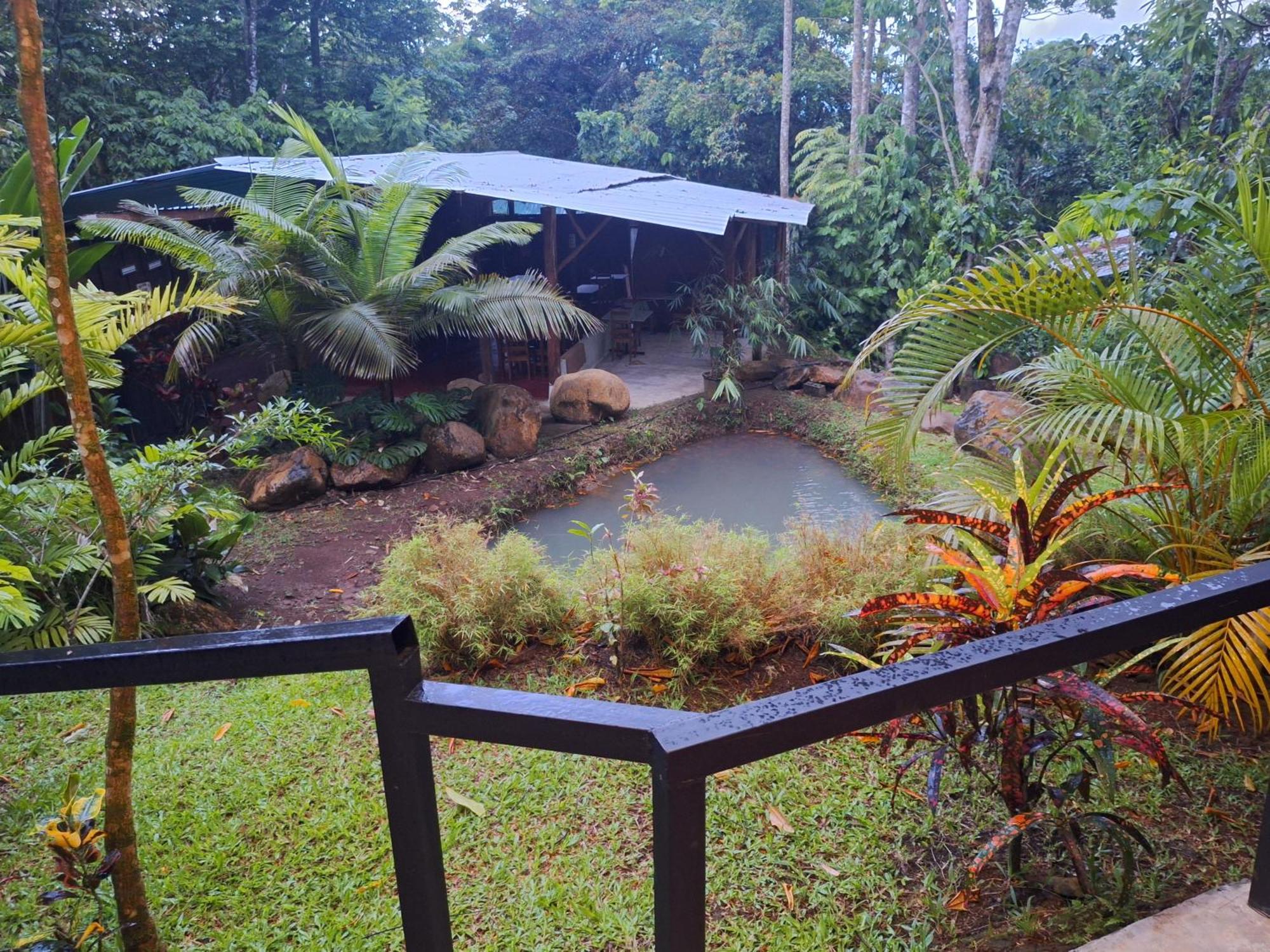 Guapote Lodge La Tigra  Room photo
