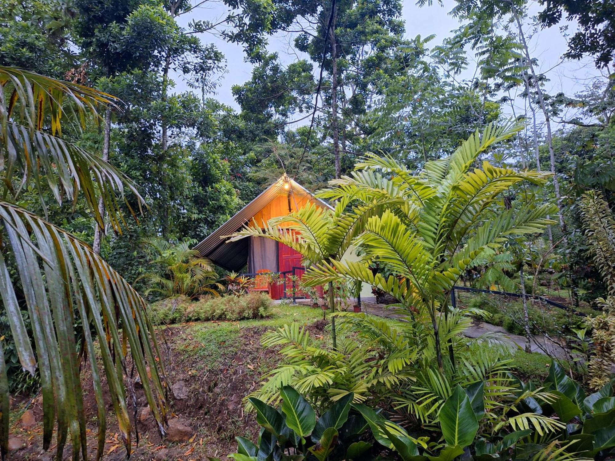 Guapote Lodge La Tigra  Room photo