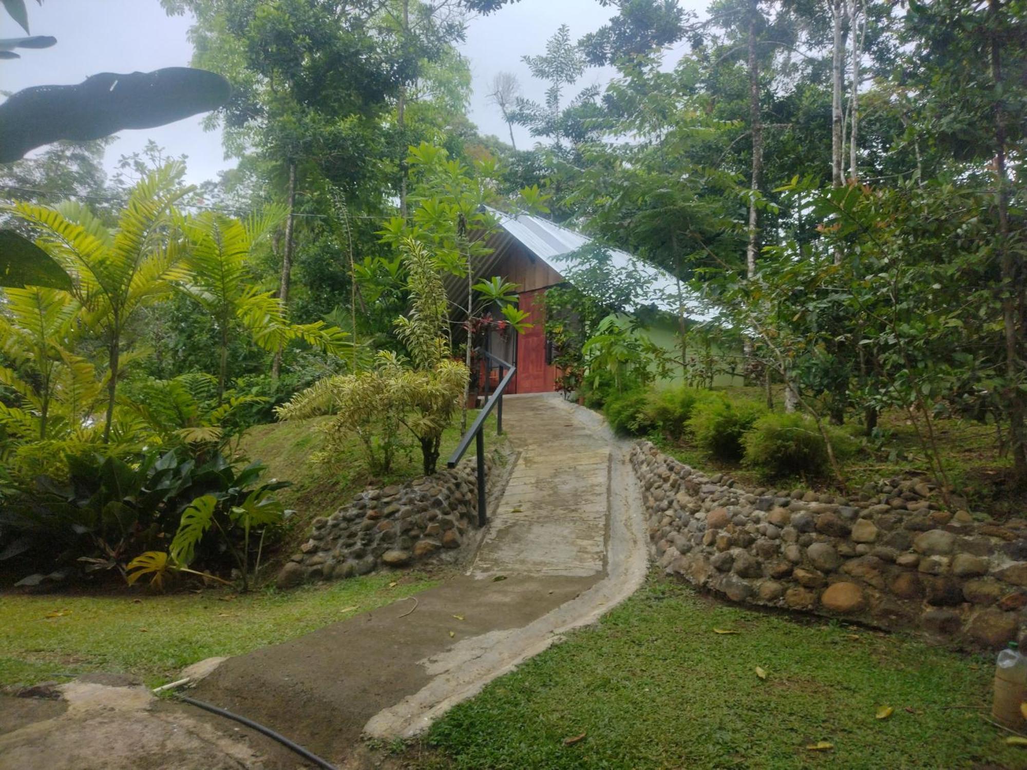 Guapote Lodge La Tigra  Room photo