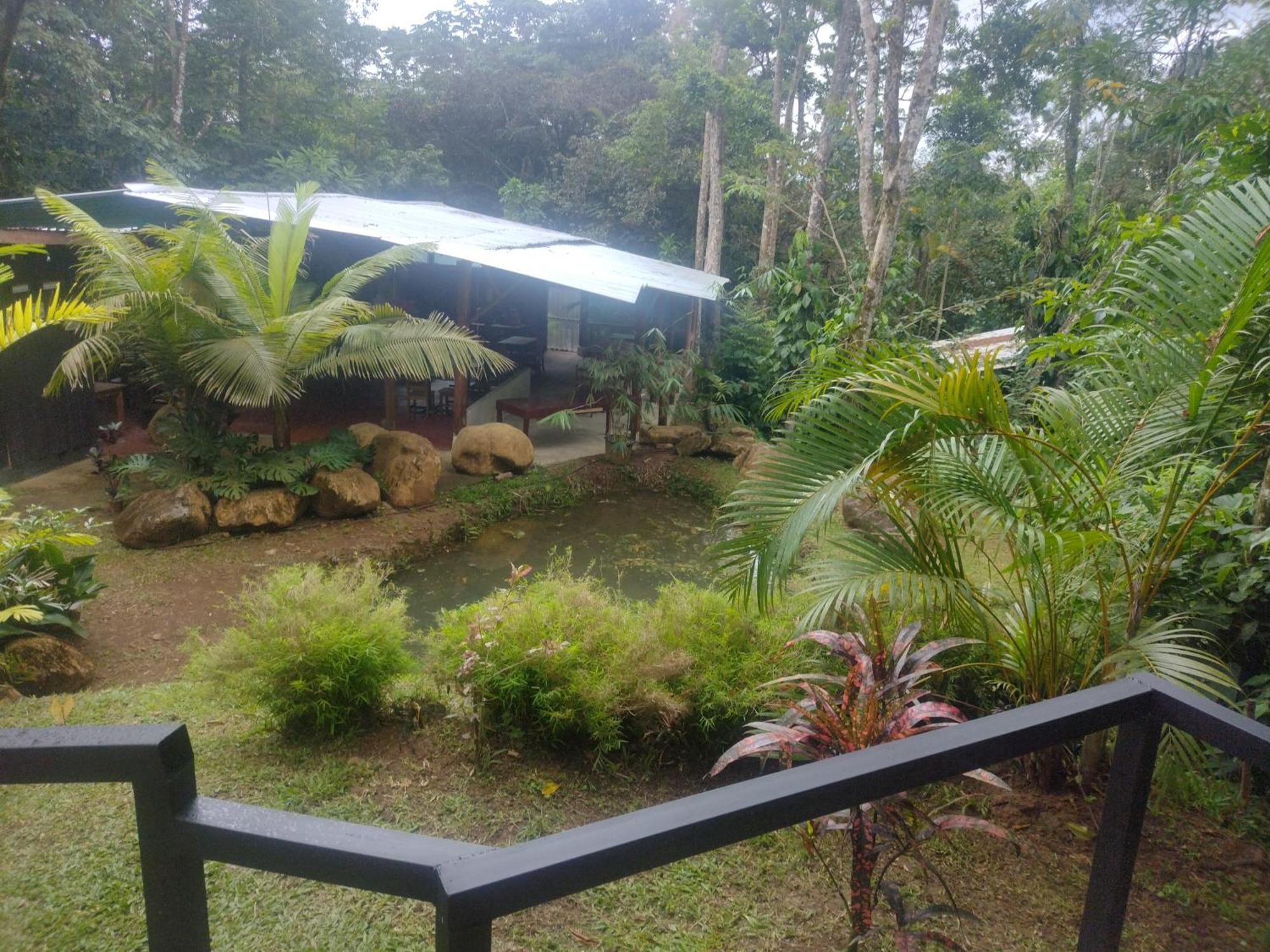 Guapote Lodge La Tigra  Room photo