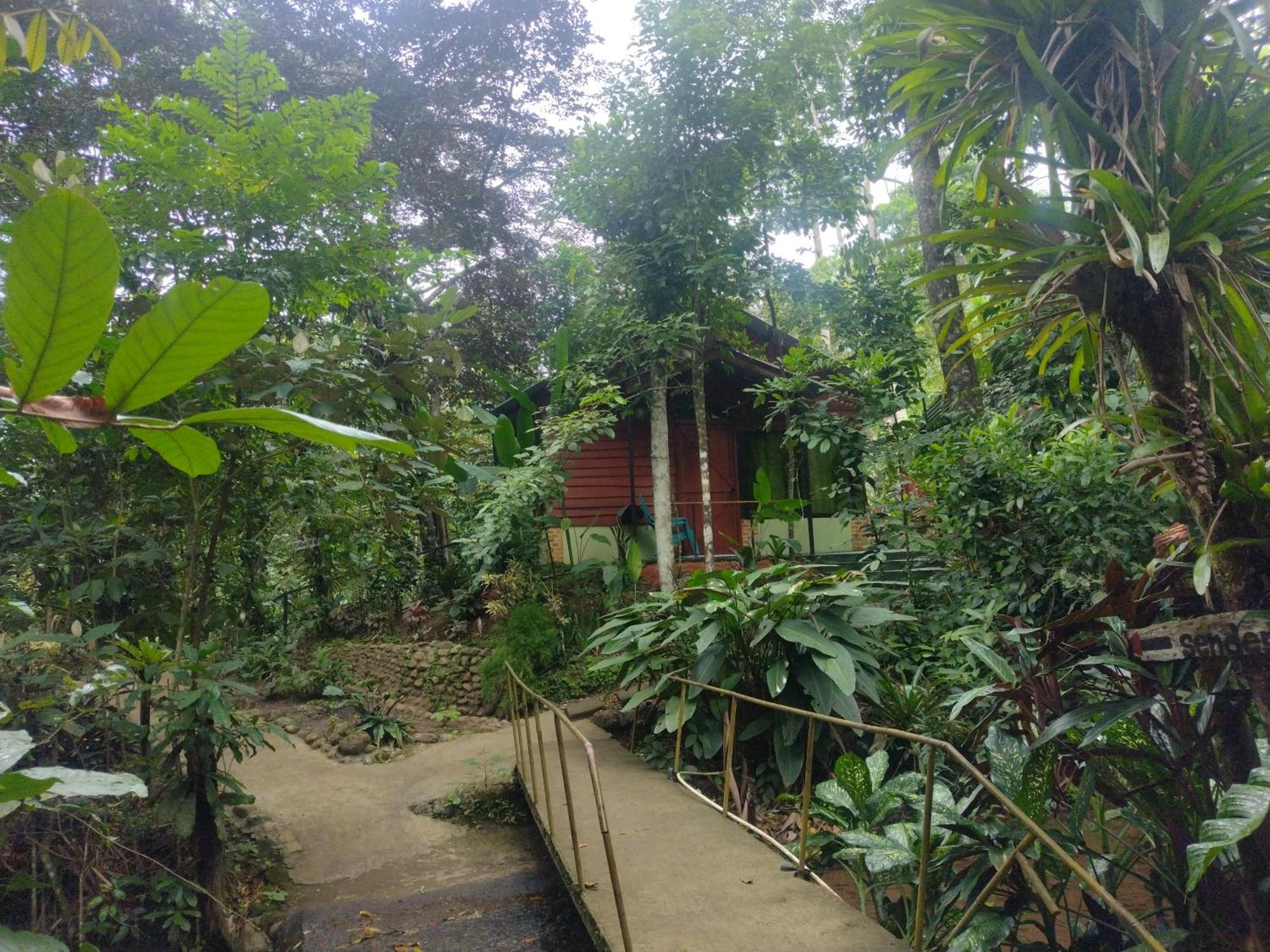 Guapote Lodge La Tigra  Room photo