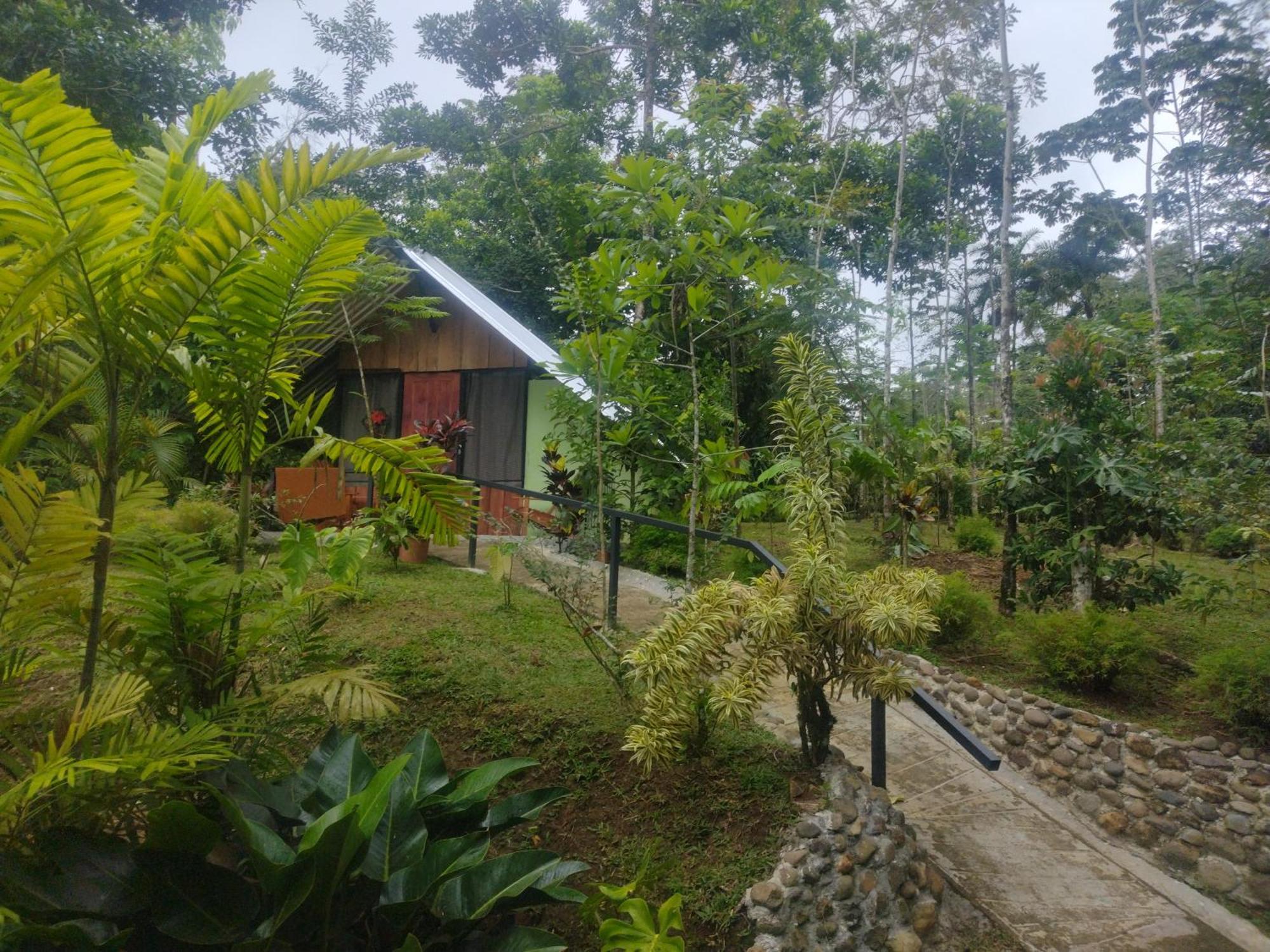 Guapote Lodge La Tigra  Room photo