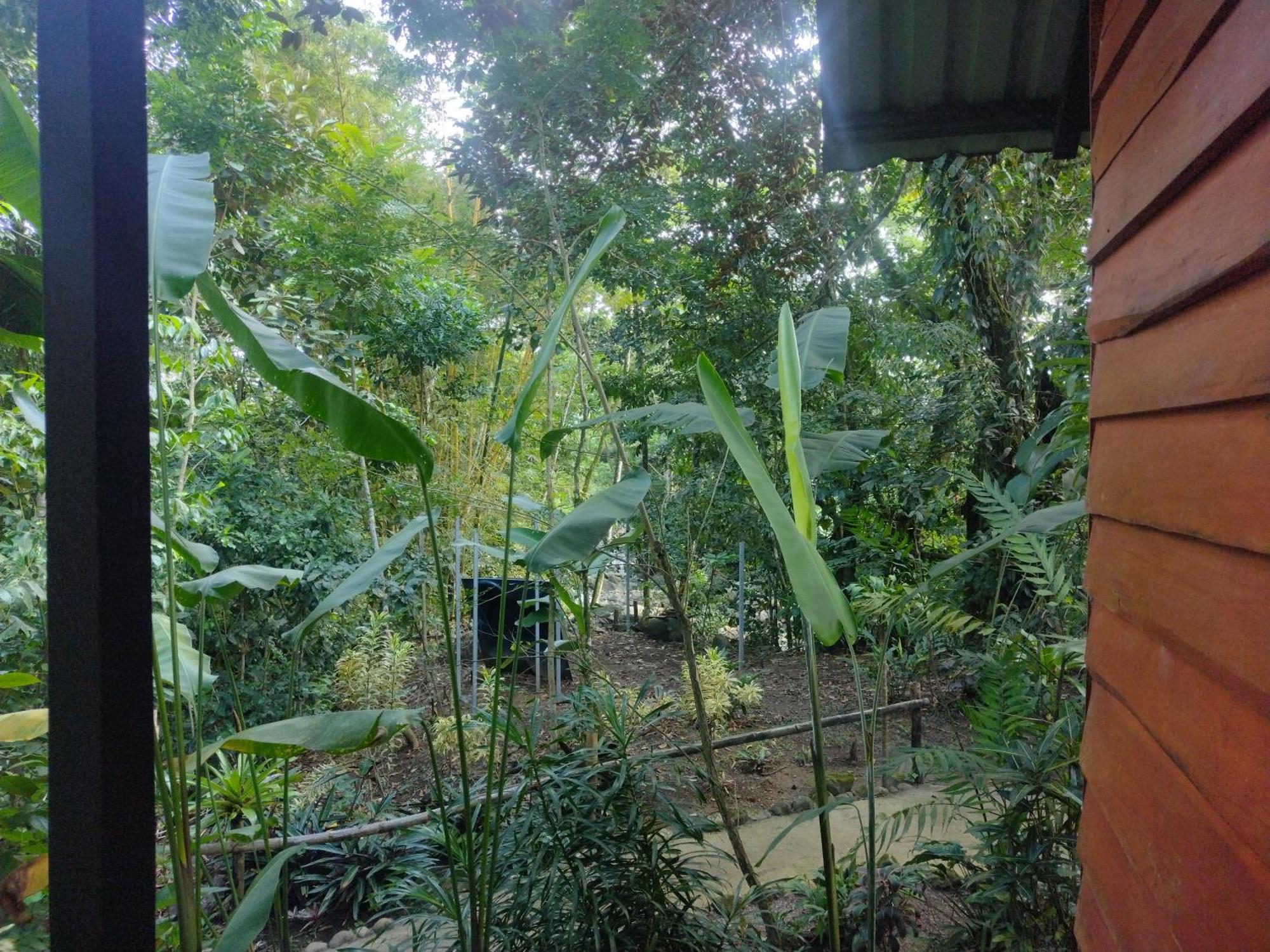Guapote Lodge La Tigra  Room photo