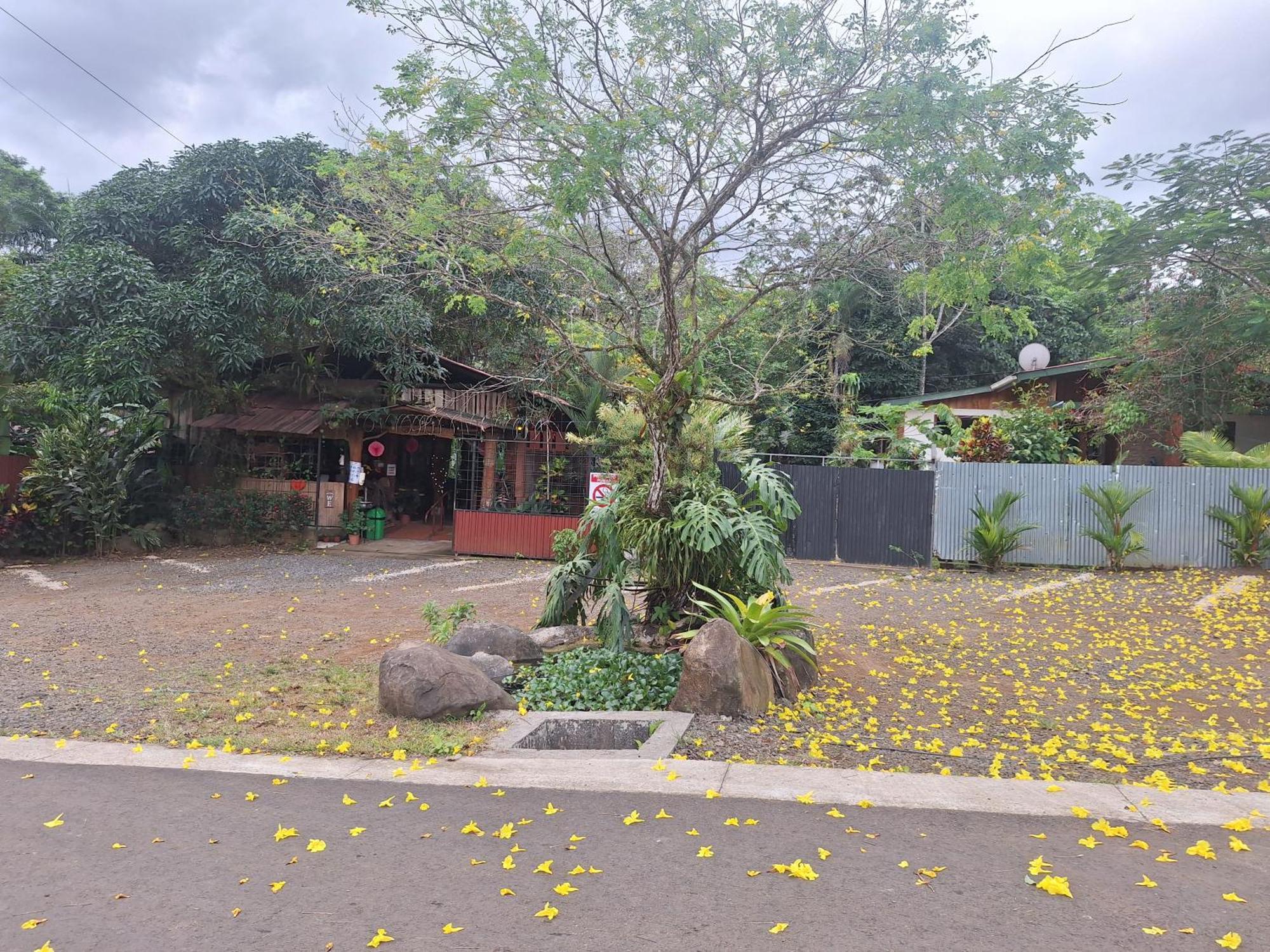 Guapote Lodge La Tigra  Exterior photo