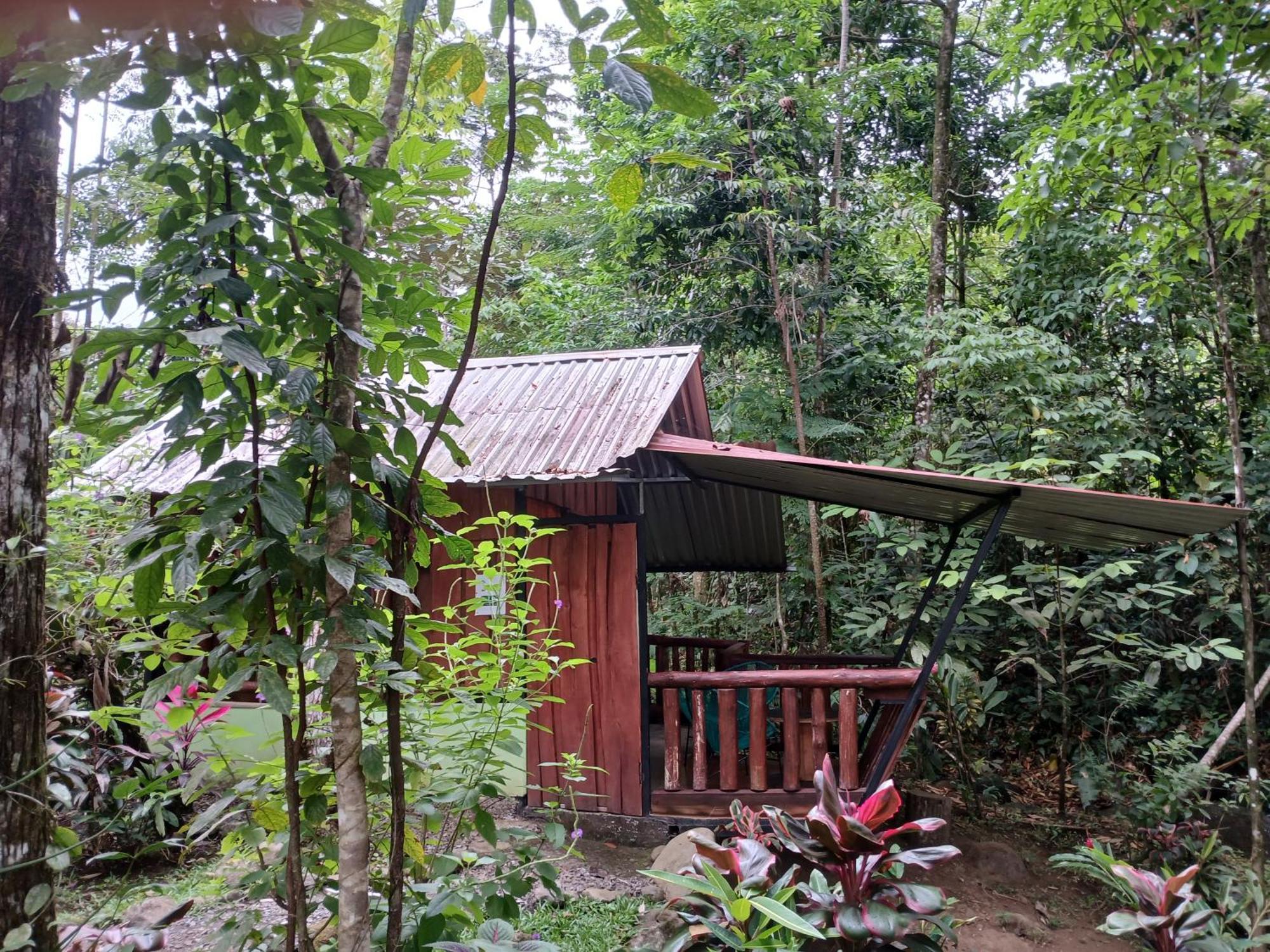 Guapote Lodge La Tigra  Room photo