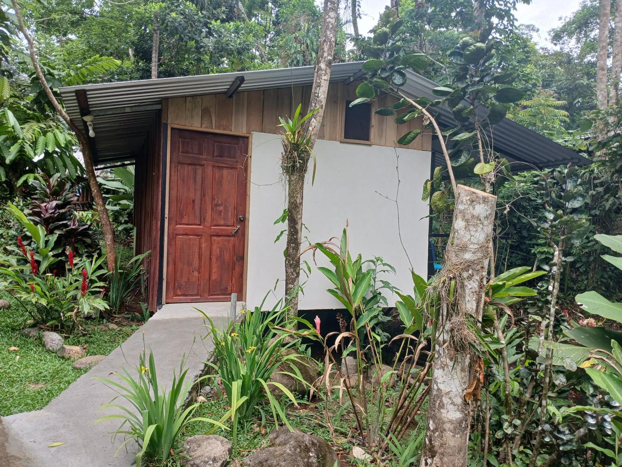 Guapote Lodge La Tigra  Room photo
